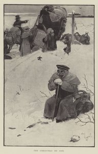 Aldığı Noel